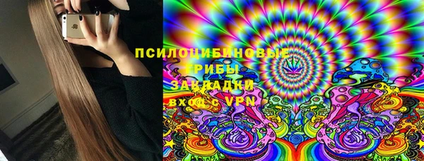 spice Козловка