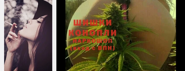 твердый Кодинск