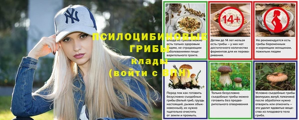 spice Козловка