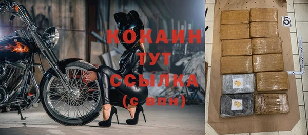 сатива Болотное
