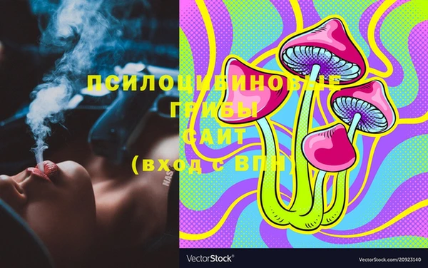 твердый Кодинск