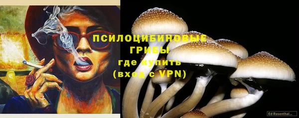 спиды Корсаков