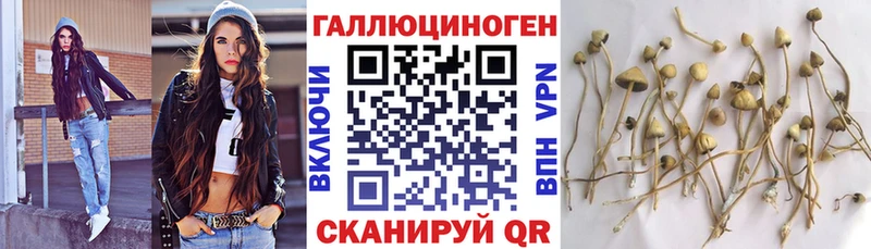 Галлюциногенные грибы Magic Shrooms  где найти   darknet состав  Клин 